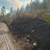 Kalamoir Regional Park closed until further notice following wildfire