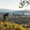 Airbnb calls Kelowna’s North End one of Canada’s trendiest neighbourhoods