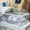 Community raises over $135K to purchase Giraffe for babies born in Vernon