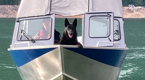 First dog in BC trained to detect invasive mussels retires after 8 years