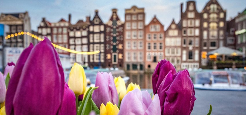 Win a trip to Amsterdam at today's Spring Travel Show at Kelowna airport